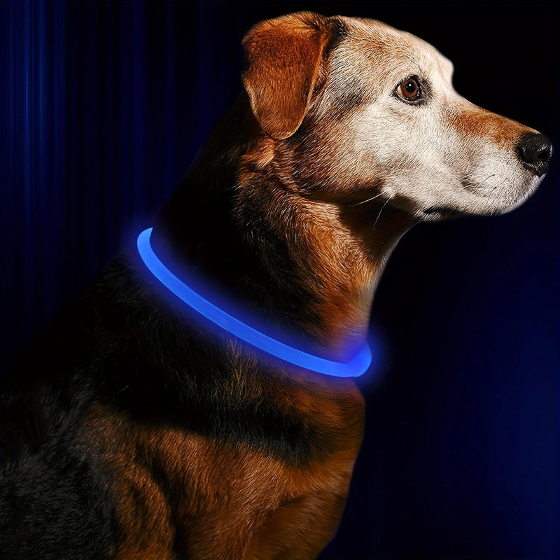 Coleira LED para Cão Pet, Luminosa, Antiperda, Coleira USB Recarregável para Cães