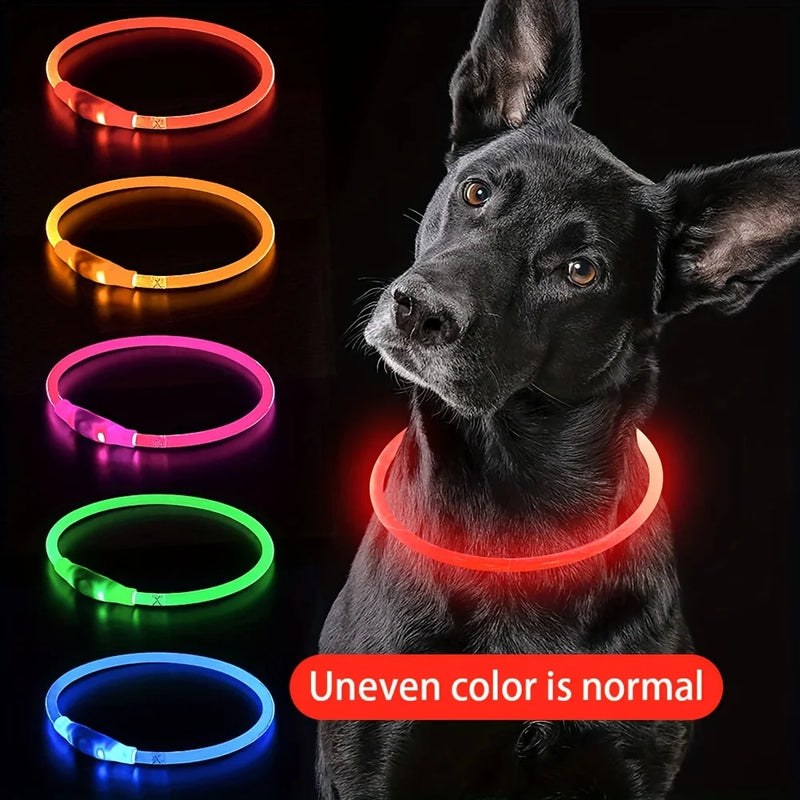 Coleira LED para Cão Pet, Luminosa, Antiperda, Coleira USB Recarregável para Cães