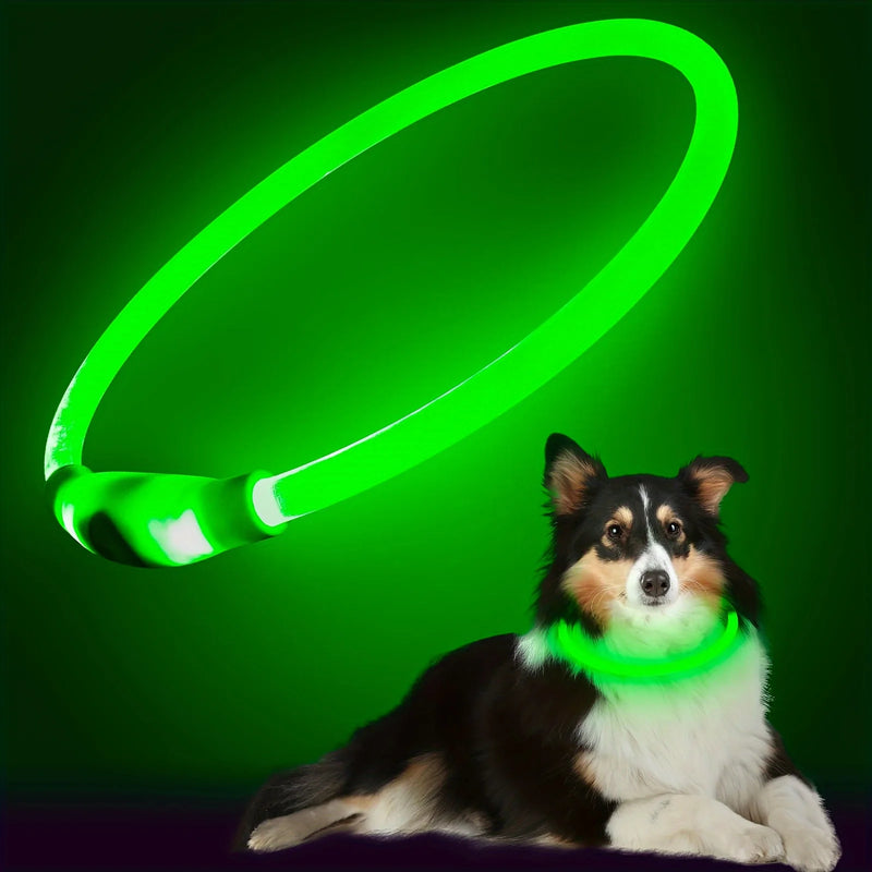 Coleira LED para Cão Pet, Luminosa, Antiperda, Coleira USB Recarregável para Cães